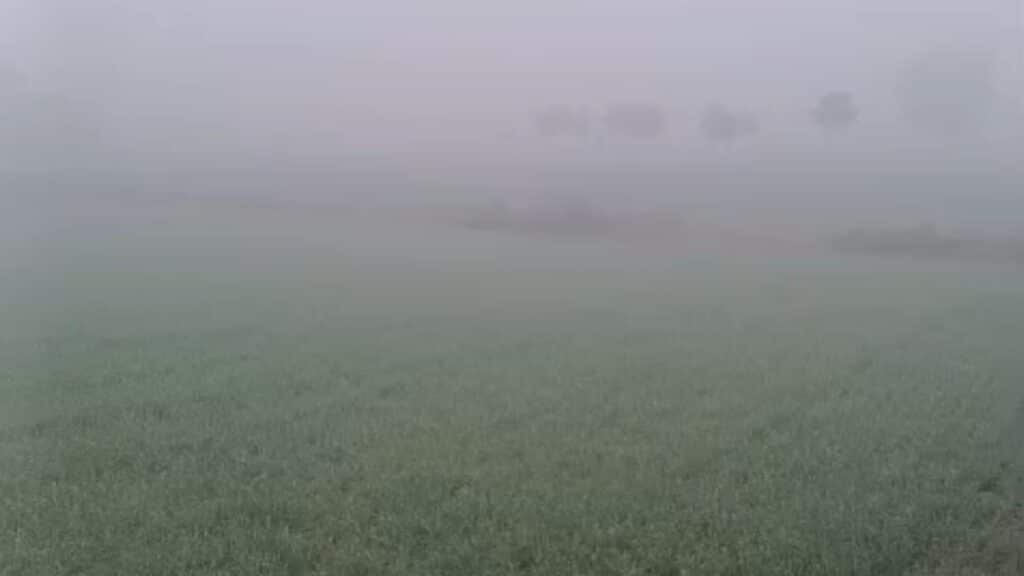 vMix Capture 02 January 2025 08 49 35